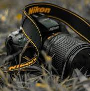 professionelle bilder