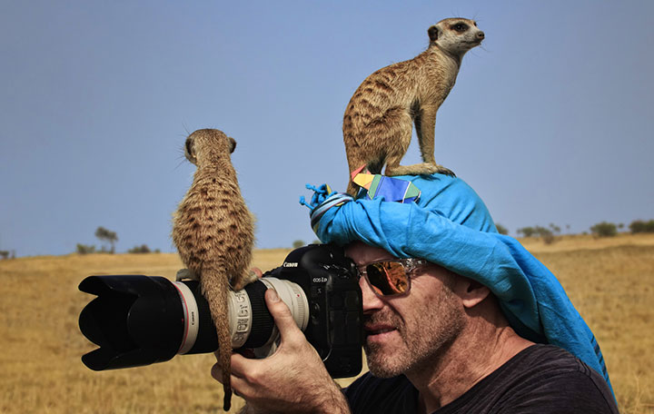 wildlife fotografie
