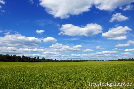 foto landschaft
