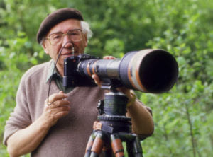 wilke fotograf